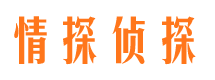 固镇市婚外情调查